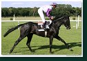 Derby-Trial 