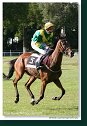 Memoriál amatéra Ludovíta Végha