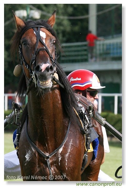 Bratislava - 01. júla 2007 
