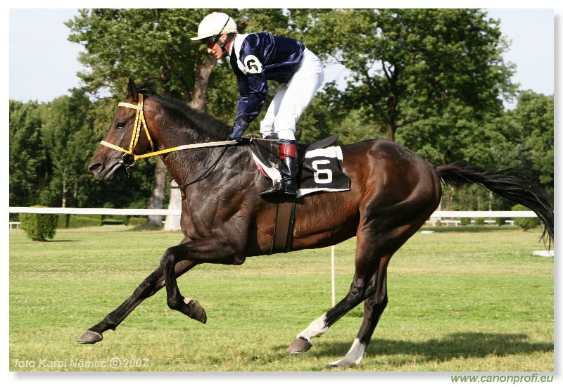Bratislava - 01. júla 2007 