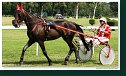 Cena Scuderia a Moravia Agro