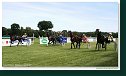 Cena Scuderia a Moravia Agro