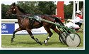 Cena Scuderia a Moravia Agro