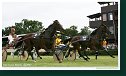 Cena Trotting Slovakia