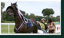 Cena Trotting Slovakia