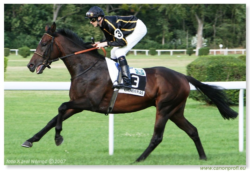 Bratislava - 22. júla 2007 