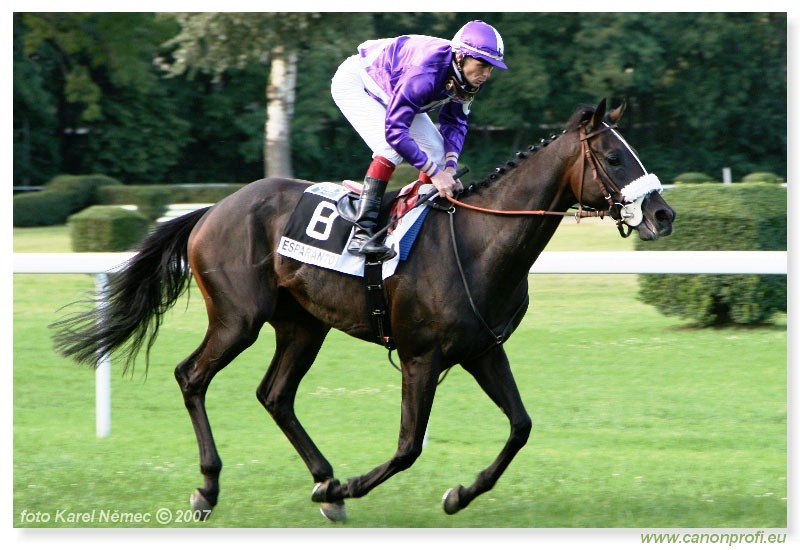 Bratislava - 22. júla 2007 