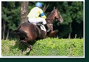 33. veľká starohájska steeplechase