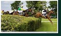 33. veľká starohájska steeplechase