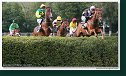 33. veľká starohájska steeplechase