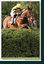 33. veľká starohájska steeplechase