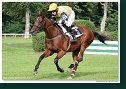 33. veľká starohájska steeplechase