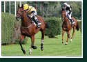 33. veľká starohájska steeplechase