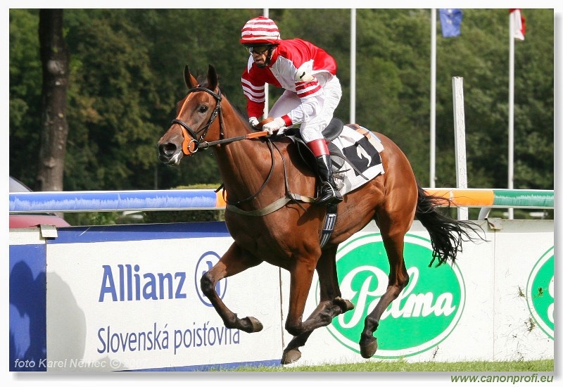 Bratislava - 9. septembra 2007 