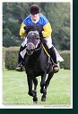 pony II