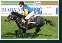 pony I