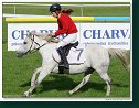 pony I