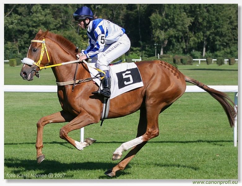 Bratislava - 30. septembra 2007 