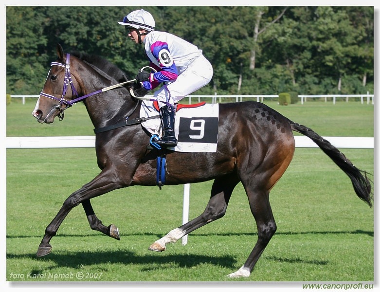 Bratislava - 30. septembra 2007 