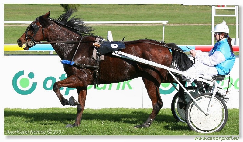Bratislava - 14. októbra 2007 