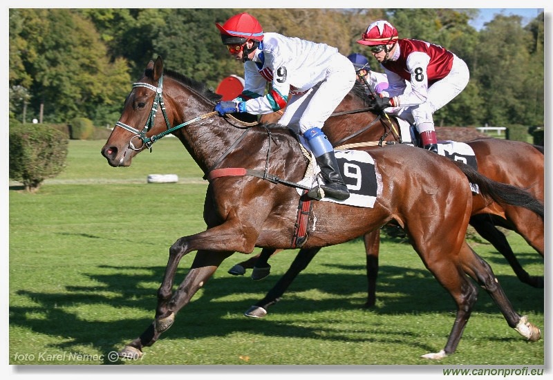 Bratislava - 14. októbra 2007 