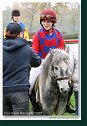 pony I