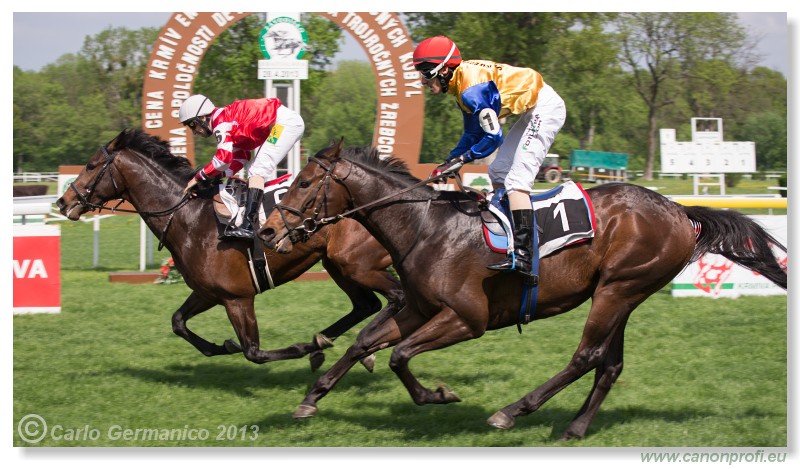 Bratislava - 28. aprla 2013 