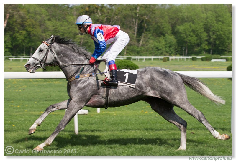 Bratislava - 28. aprla 2013 