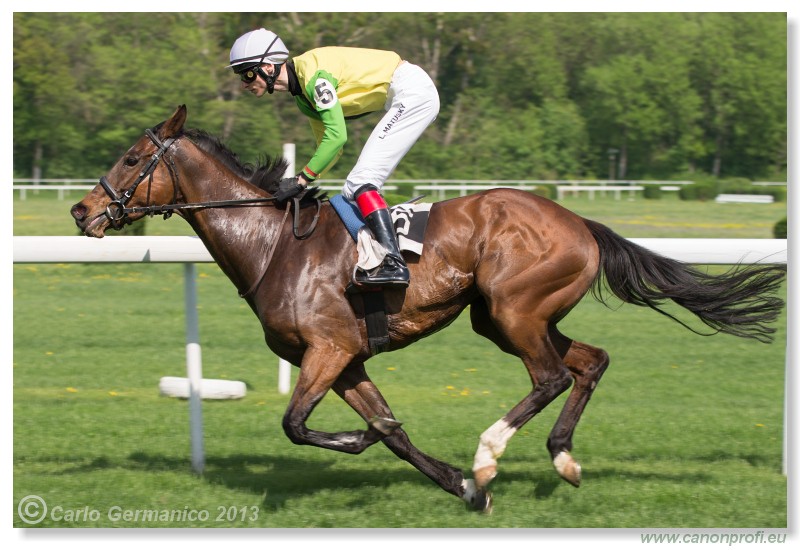 Bratislava - 28. aprla 2013 
