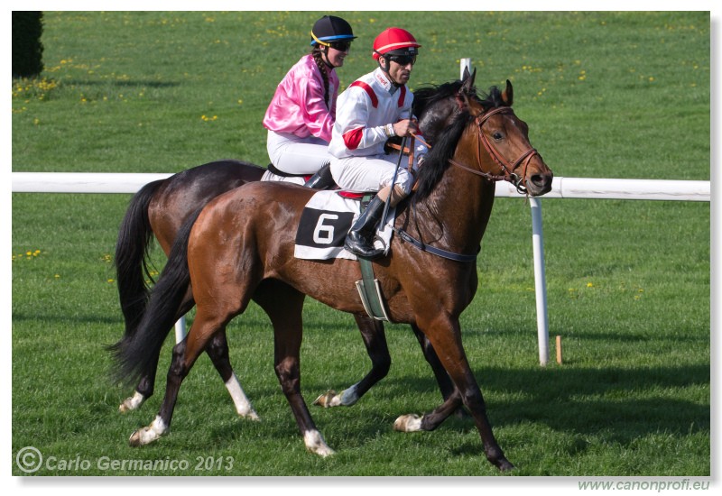 Bratislava - 28. aprla 2013 