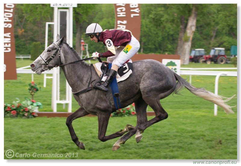 Bratislava - 28. aprla 2013 