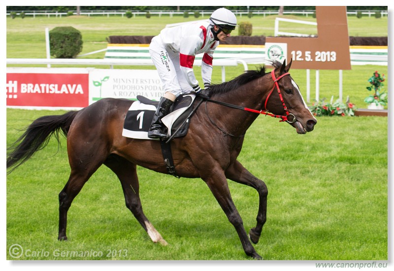 Bratislava - 12. mj 2013 