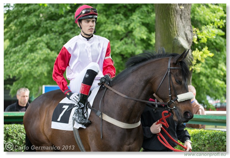 Bratislava - 12. mj 2013 