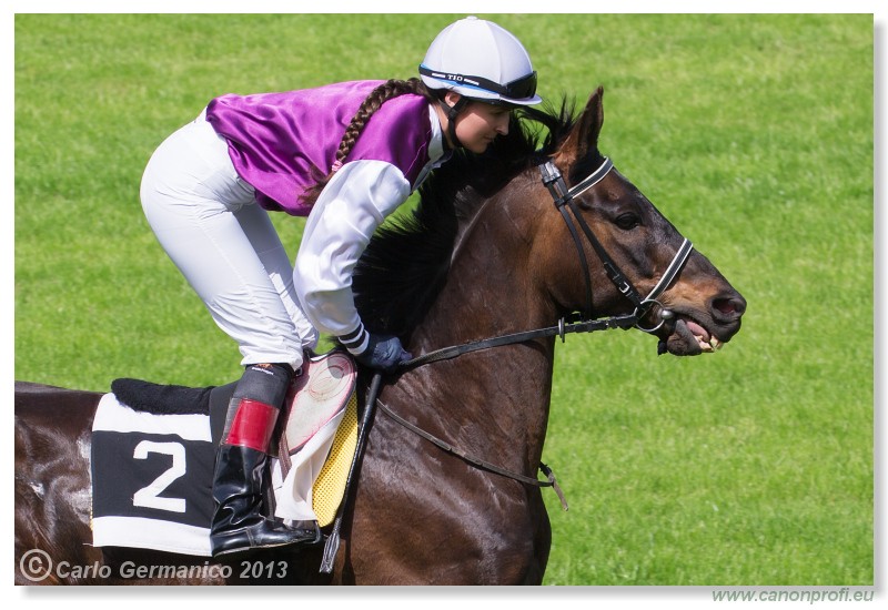 Bratislava - 19. mj 2013 