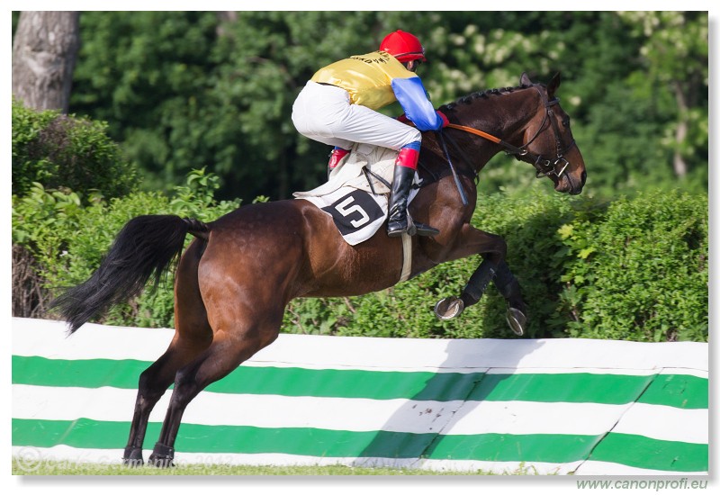 Bratislava - 19. mj 2013 