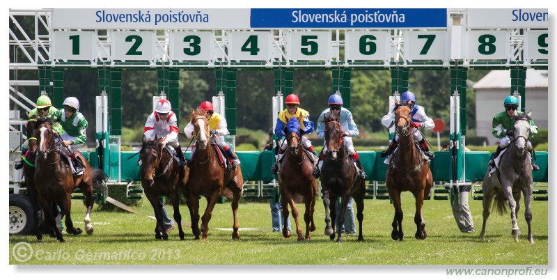 Bratislava - 09. jn 2013 