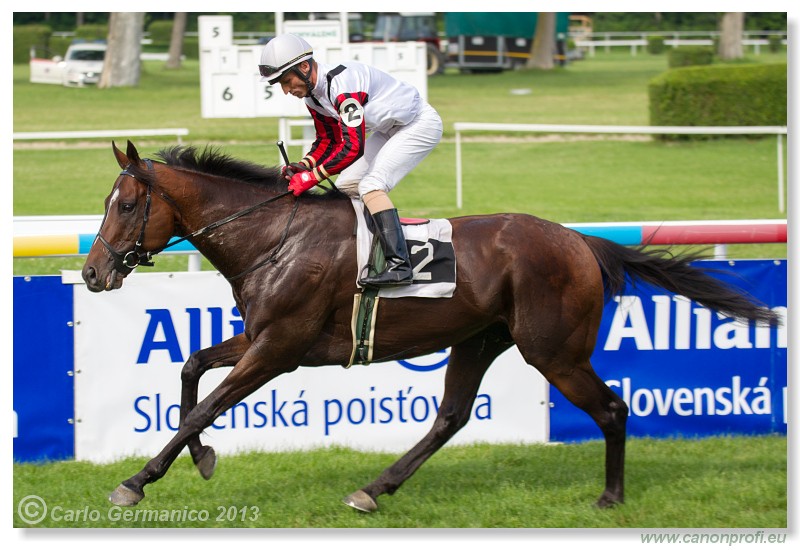 Bratislava - 22. jn 2013 