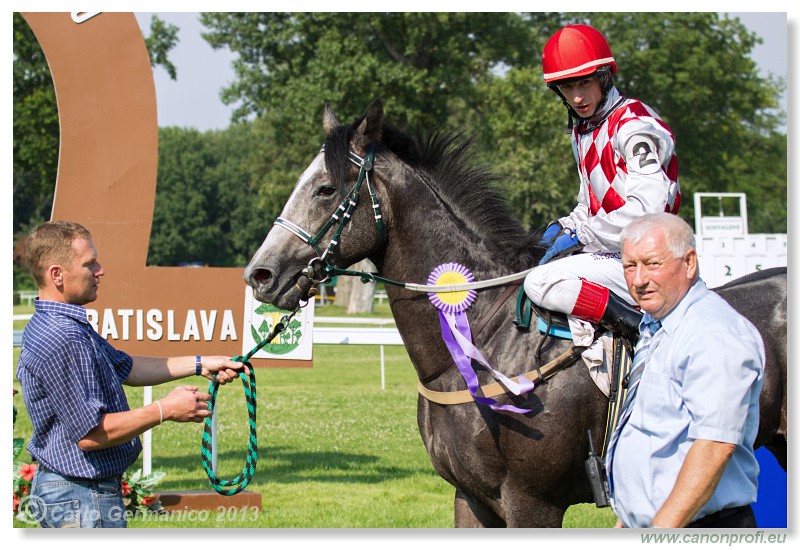 Bratislava - 06. jl 2013 
