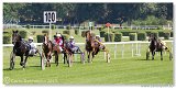 Prix du Trotteur Francais II. 