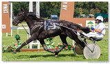 Prix du Trotteur Francais II. 