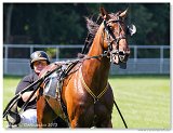 Prix du Trotteur Francais II. 