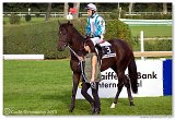 Slovensk St. Leger 