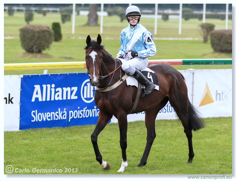 Bratislava - 06. oktber 2013 