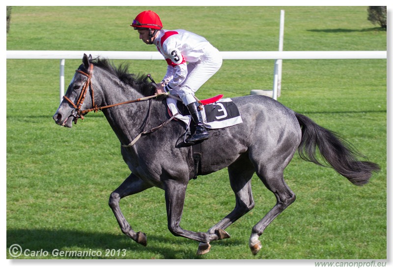 Bratislava - 27. oktber 2013 