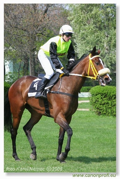 Bratislava - 23. apríla 2006 