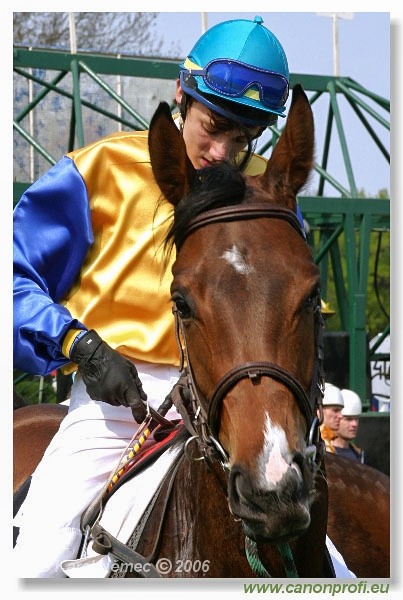 Bratislava - 23. apríla 2006 