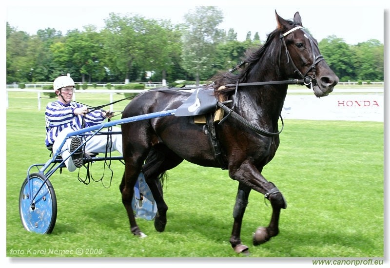 Bratislava - 14. mája 2006 