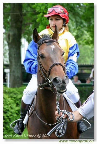 Bratislava - 14. mája 2006 