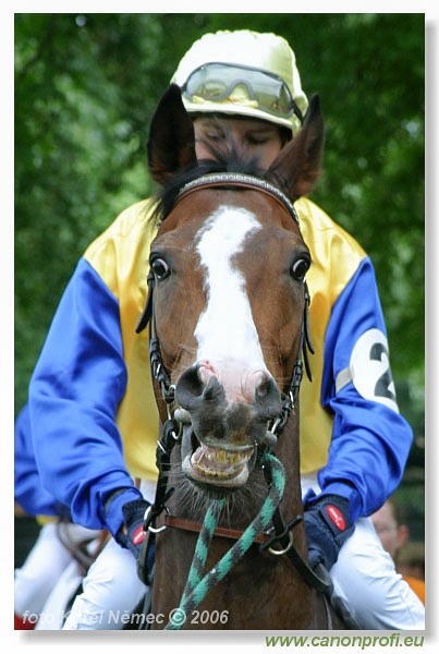 Bratislava - 14. mája 2006 