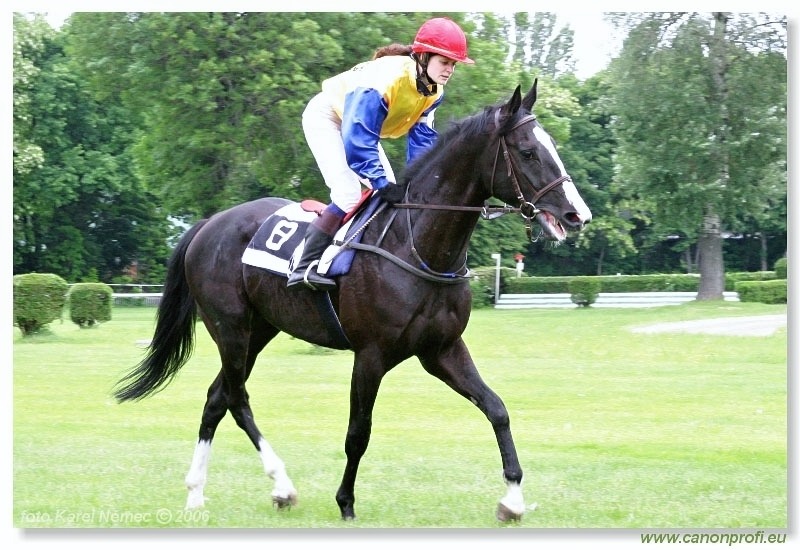 Bratislava - 21. mája 2006 